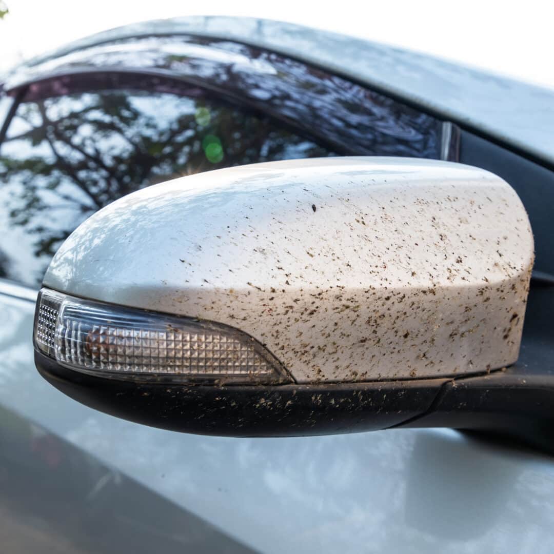 How to Remove and Prevent Bugs and Tar on your Car