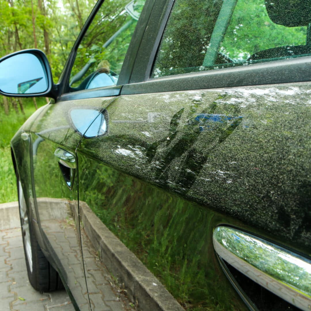 10 Ways to Prevent Pollen Problems