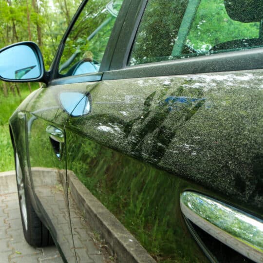 car pollen